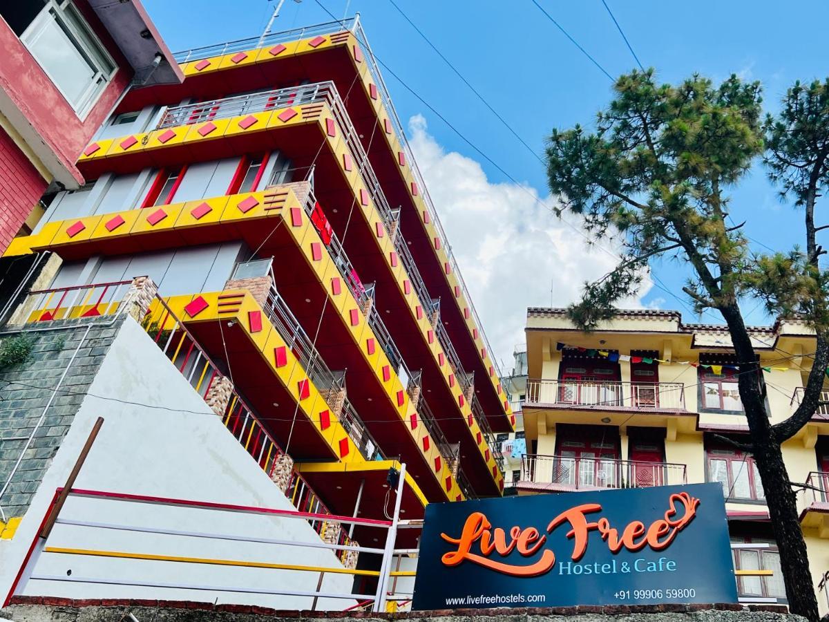 Live Free Hostel, Mcleodganj McLeod Ganj Exterior photo